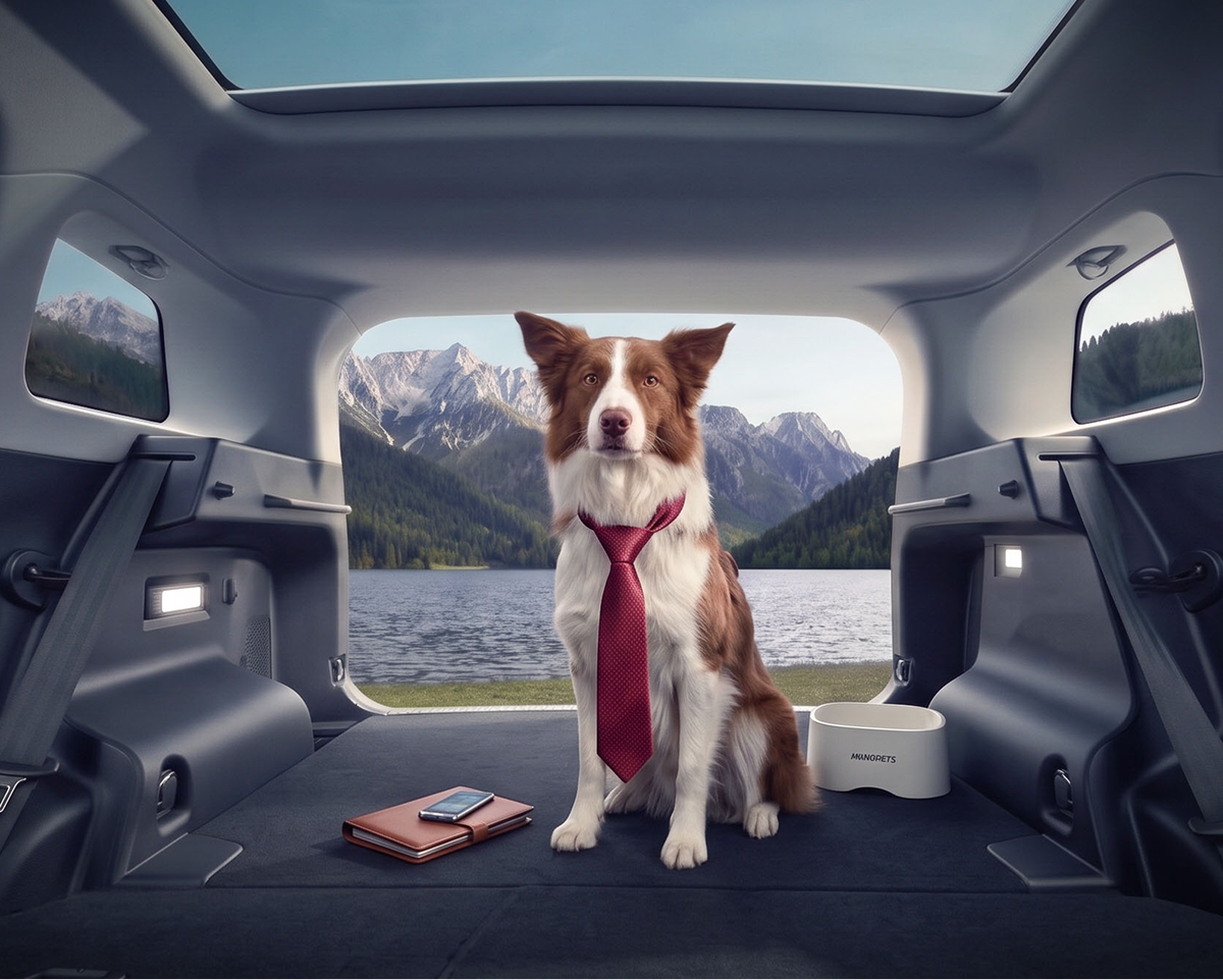 Pasji direktor: border collie s kravato v prtljažniku Jaecoo 5, prvega avtomobila na svetu s TÜV SÜD certifikatom pet-friendly notranjosti
